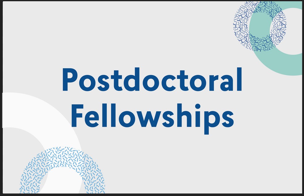 Looking for Postdoctoral Fellowships?